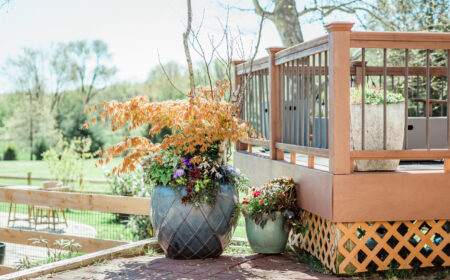 The Gardeness- Containers & Design