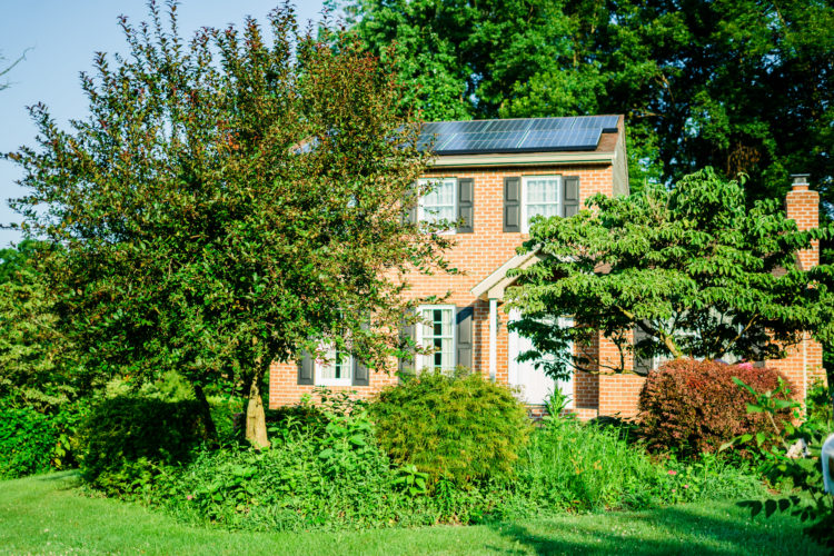 Honey Brook Garden Update The Gardeness