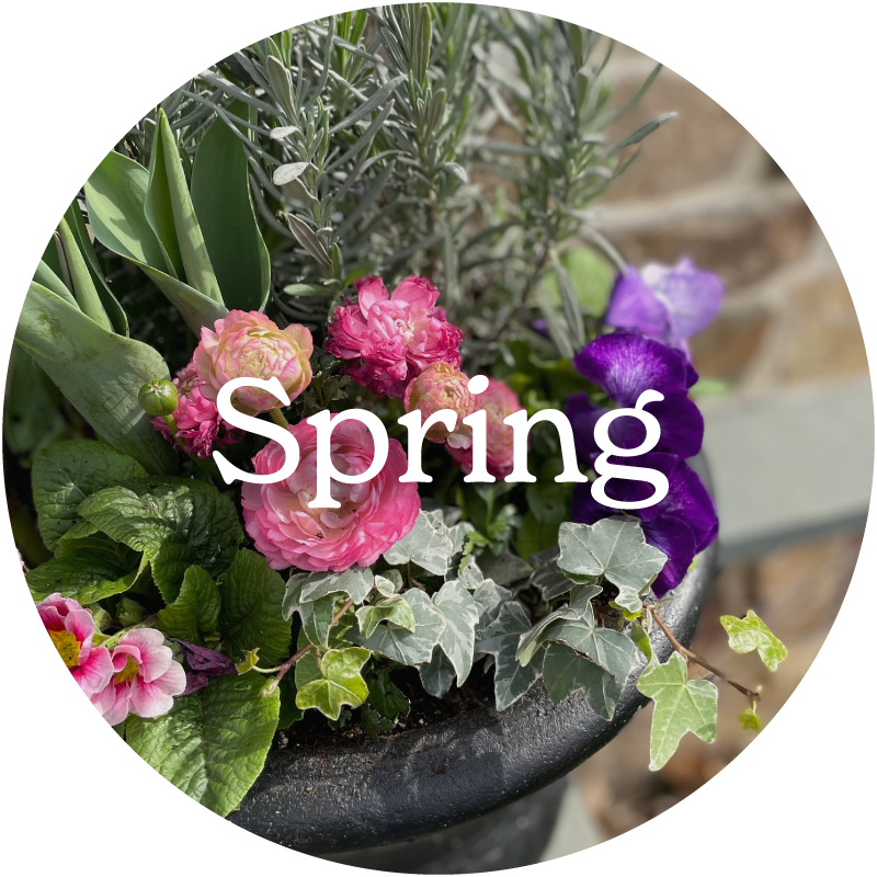 Seasonal planters Chester County Landscape Design The Gardeness